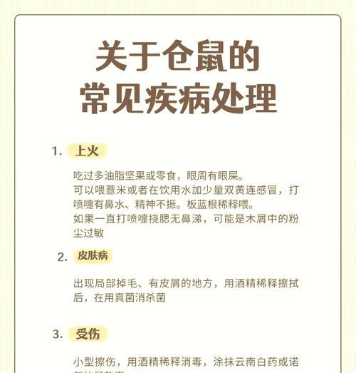 仓鼠喝奶的方法与注意事项（探索仓鼠适合饮用的奶类产品及正确喂养方式）
