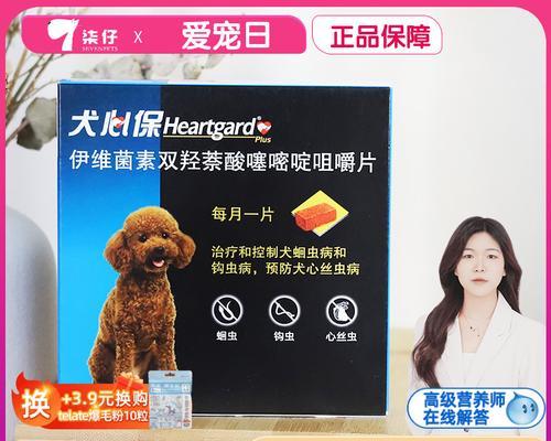 泰迪犬的驱虫需求及时机（了解泰迪犬的驱虫周期和关键时刻，守护宠物健康）