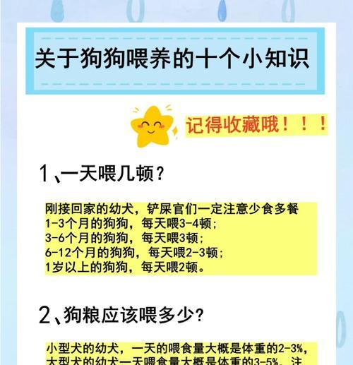 法斗的饮食需求与喂养频率（一天喂几次？饭量又是多少？）