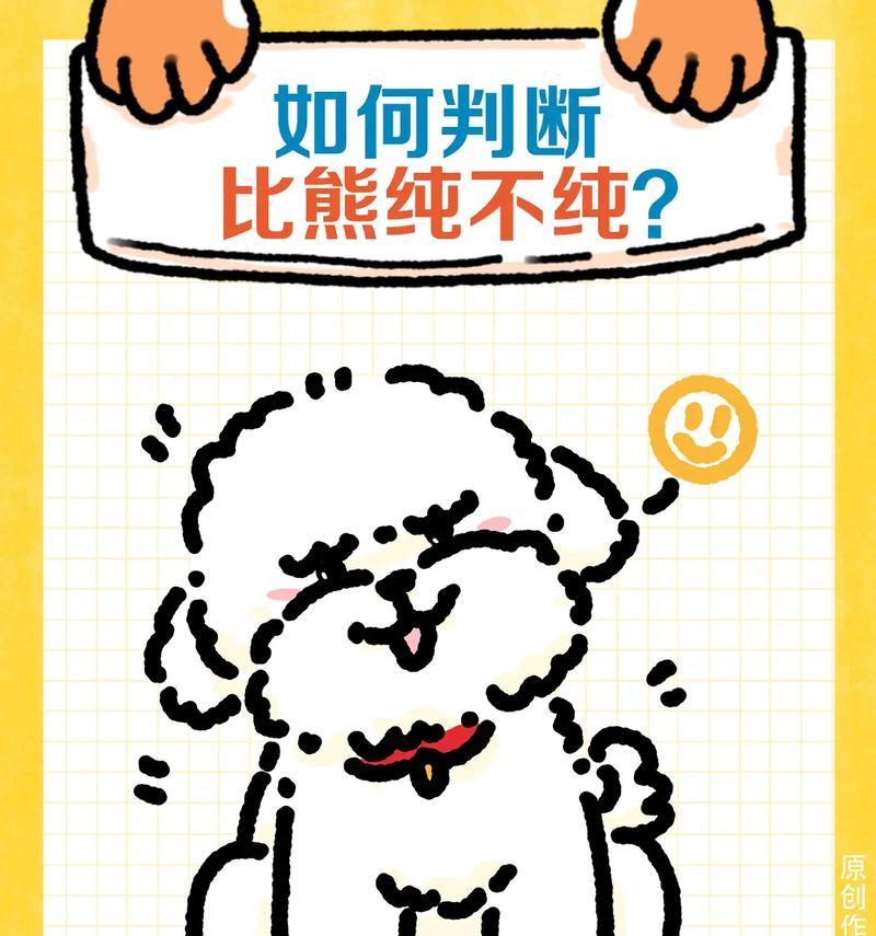 养比熊犬，你需要了解的常识（掌握这些，让你成为比熊专家）