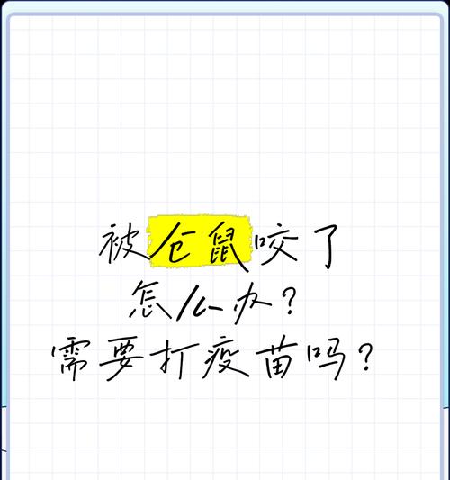 小仓鼠是否会咬人？解析仓鼠的咬人行为（了解仓鼠咬人的原因及应对措施）