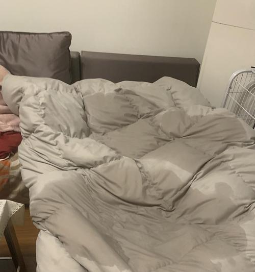 如何解决泰迪狗老是尿床问题（教你有效应对宠物狗尿床问题，让你的泰迪狗健康快乐）