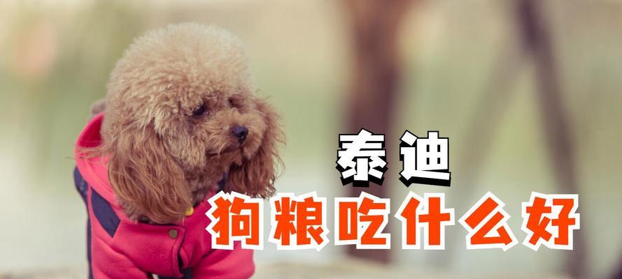 泰迪的饮食（探索泰迪的饮食选择以满足其营养需求）