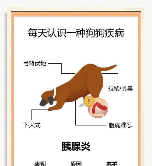 小狗肠炎的病因、症状与治疗方法（了解肠炎的常见症状和有效治疗方法）