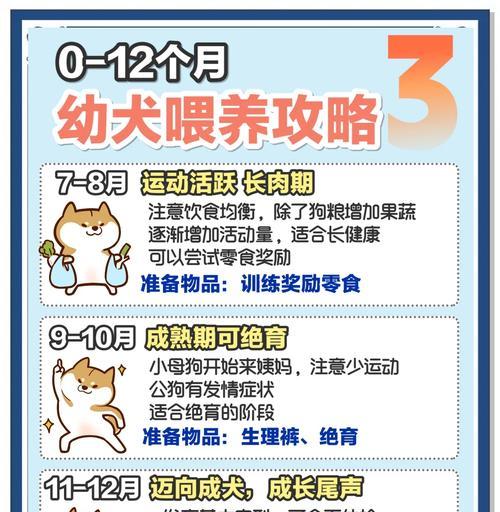 三个月大的狗的合理饮食安排（科学喂养让小狗更健康）