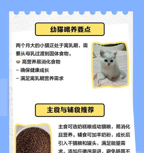 猫能吃羊肉卷吗？（探究猫的饮食习惯和羊肉卷的成分）