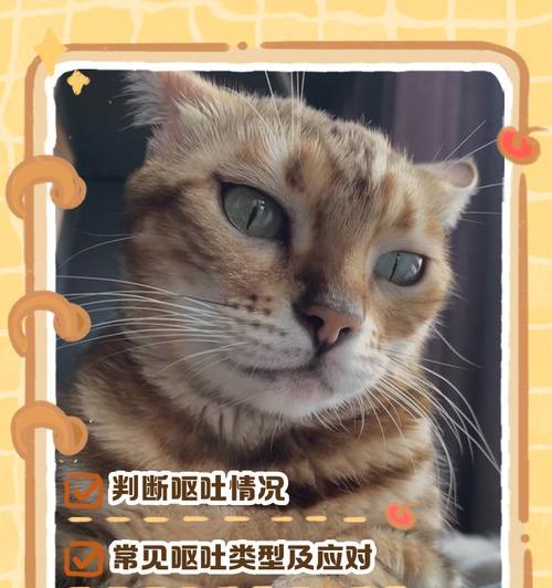 猫的发情期是否会导致呕吐？（了解猫咪发情期对健康的影响以及可能引起的呕吐问题）