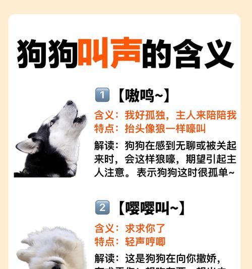 狗为何见到主人会激动不已？（揭秘狗狗对主人表现激动的原因及其背后的科学依据）