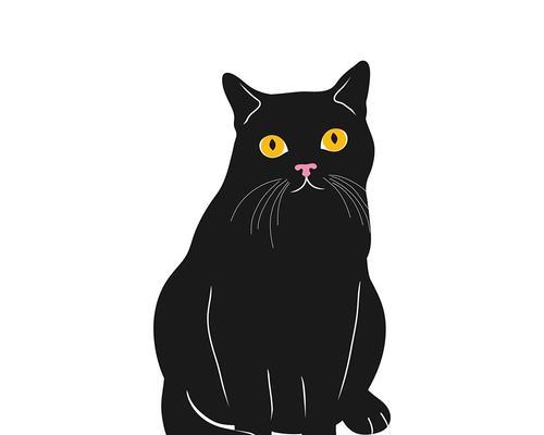 猫为何喜欢阴气重的人？（探索猫咪喜欢阴气重的原因以及与人类健康的关联）