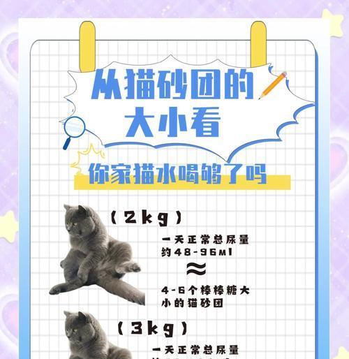 猫咪每天大便三次是否正常？（探讨猫咪排便频率的正常范围以及影响因素）