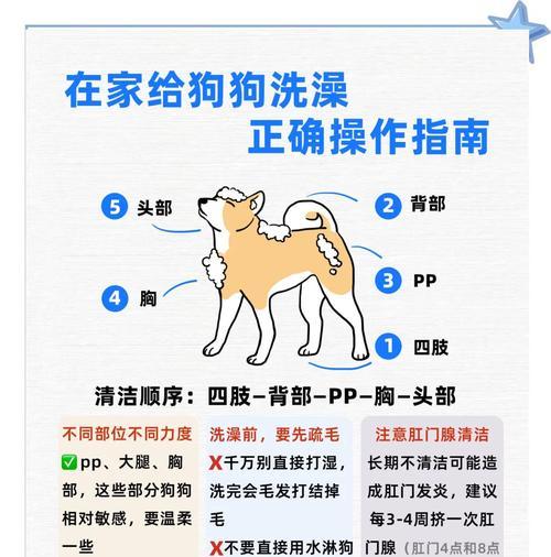 如何处理狗子躺口水的问题（解决狗子留口水困扰，让你的家庭更清洁整洁）