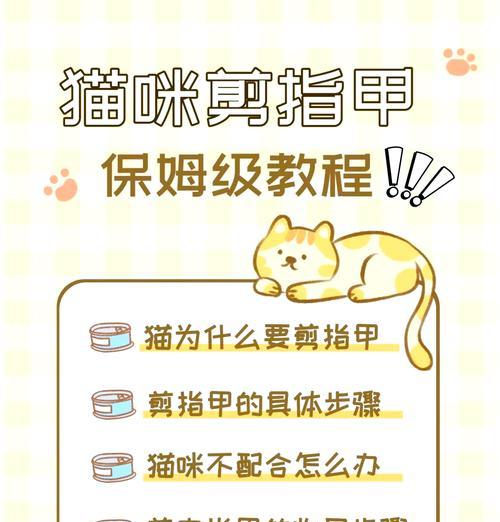 猫咪指甲断了怎么办？（猫咪指甲断裂的原因及处理方法）