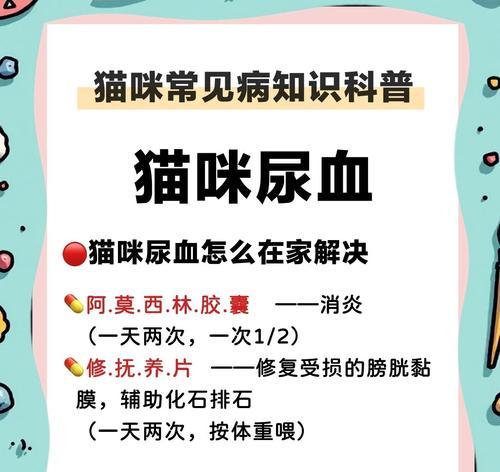 猫咪膀胱炎与绝育（了解猫咪膀胱炎的关联因素及绝育的益处）