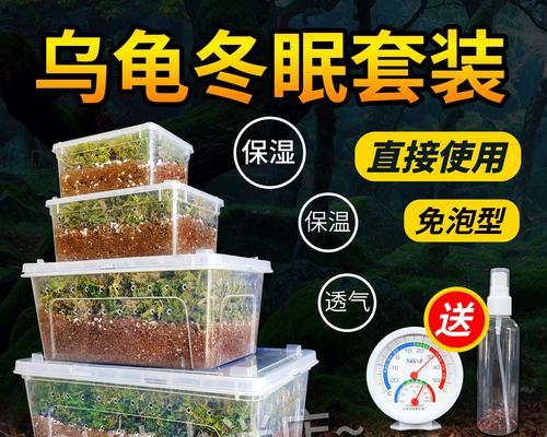 冬季养护巴西陆龟的秘籍（巴西陆龟冬季保健技巧，让您的宠物温暖过冬）
