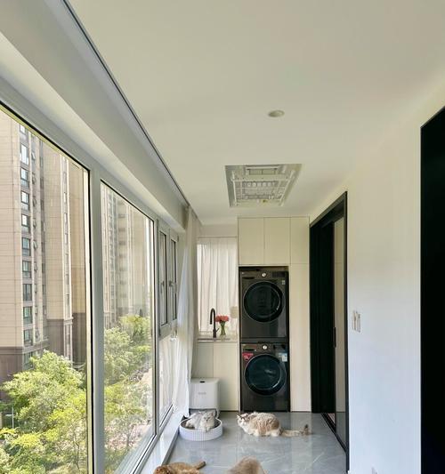 宠物猫入住出租房（解读在出租房内养猫的利与弊）