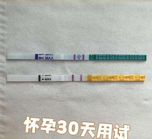 狗狗怀孕试纸的使用和有效性（人用试纸能否准确测出狗狗怀孕情况）