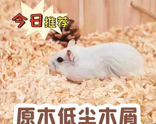 以木屑不换仓鼠会怎么样？（探索宠物饲养的新方式与影响）