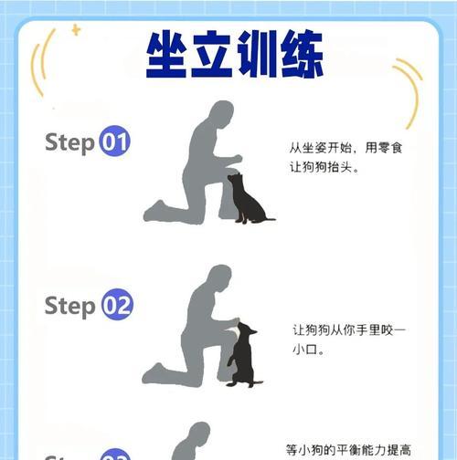 哈士奇饲养指南（了解哈士奇饲养的关键要点，让你的宠物生活更美好）