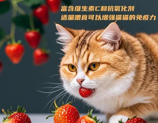 两个月大的小猫可以吃哪些水果？（了解适合小猫的水果有助于它们的健康成长）