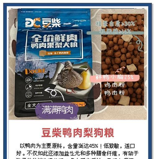 比熊犬每天适合进食几次？（科学喂养，关键在于频率与量化）