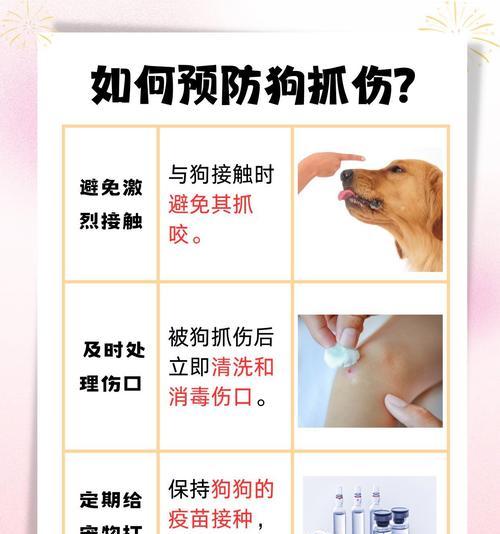 金毛为什么会一直挠痒痒？（揭秘金毛挠痒痒的原因及解决办法）