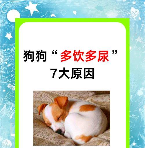 狗狗三天没喝水渴死了，主人的疏忽害死了可爱的伙伴（以一滴水的重要性，唤起人们对动物福利的关注）
