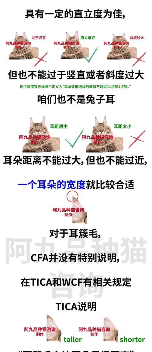 缅因猫绝育的最佳时期(探讨缅因猫绝育的年龄和健康影响)