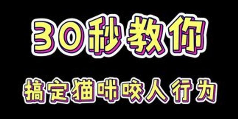 龙猫咬人怎么办?应对技巧一览(保持冷静,妥善应对龙猫的咬伤情况)