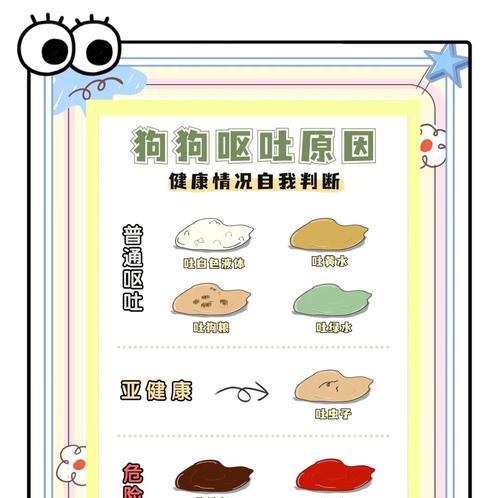 泰迪为何会出现吃了就吐的问题？（探究泰迪犬出现吃了就吐的原因及应对方法）